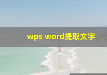 wps word提取文字